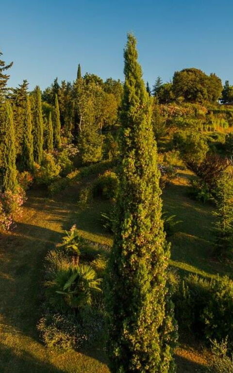 Leccino: Eksteriør, Utendørs, Visningar