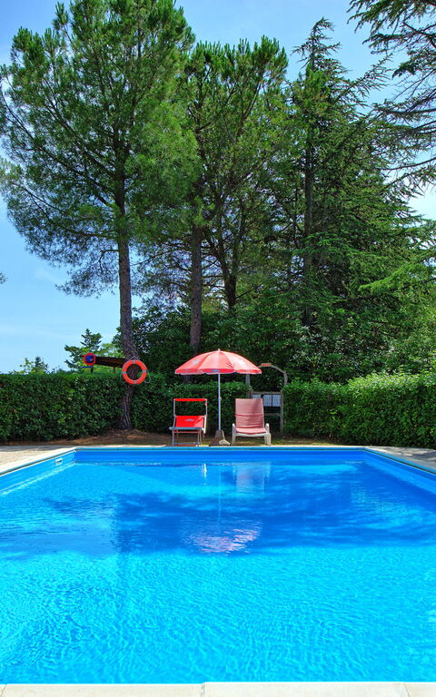 Leccino: basseng, Hage, Utendørs