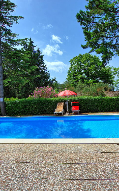 Leccino: basseng, Hage, Utendørs