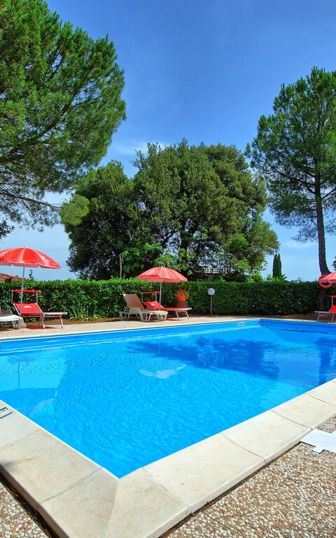 Leccino: basseng, Hage, Utendørs