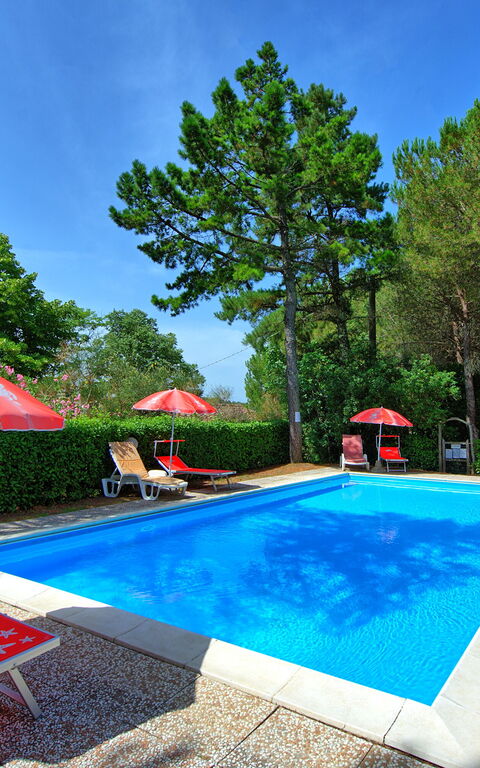 Leccino: basseng, Hage, Utendørs