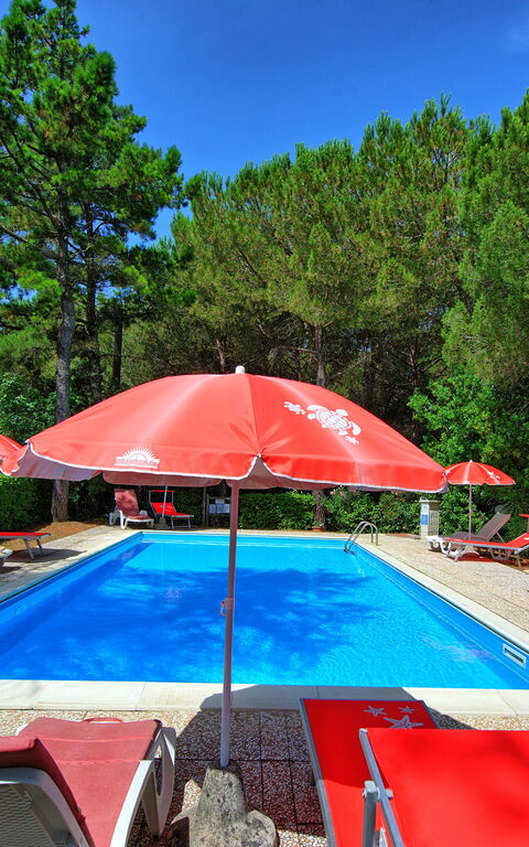 Leccino: basseng, Hage, Utendørs