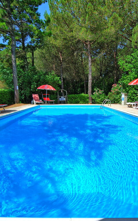 Leccino: basseng, Hage, Utendørs