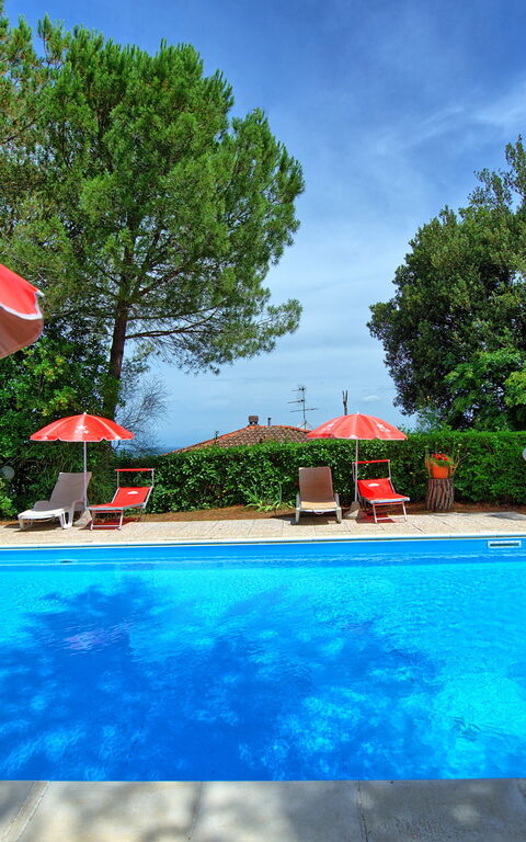 Leccino: basseng, Hage, Utendørs