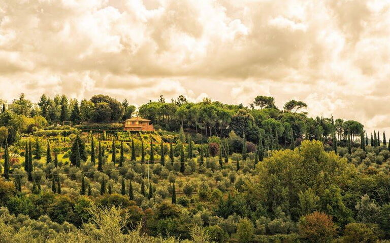 Leccino: Eksteriør, Utendørs, Visningar