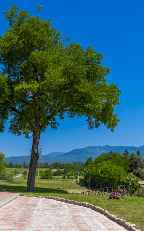 Le Fornaci: Eksteriør, Hovedinngang, Utendørs, Visningar