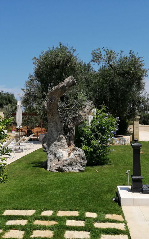 Terra Mater: Eksteriør, Hage, Utendørs