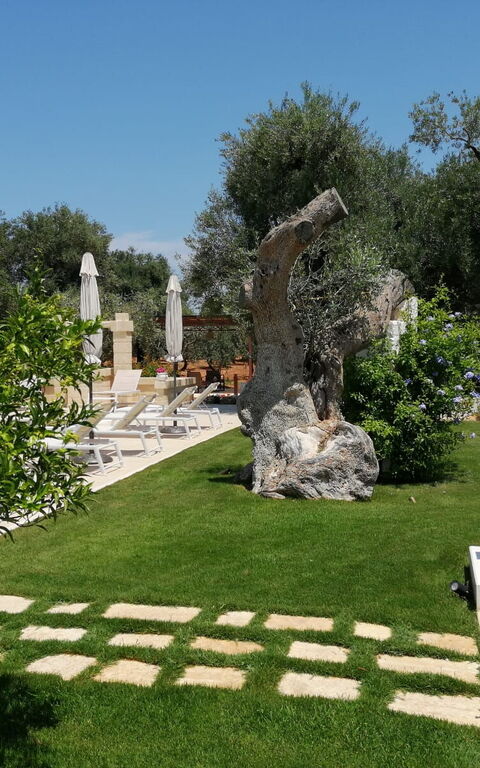 Terra Mater: Eksteriør, Hage, Utendørs