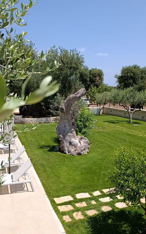 Terra Mater: basseng, Eksteriør, Hage, Utendørs