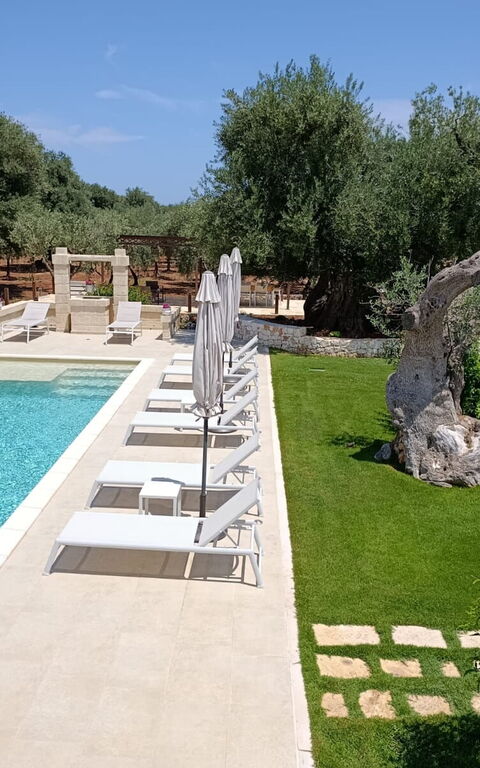 Terra Mater: basseng, Eksteriør, Hage, Utendørs