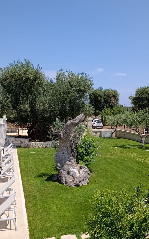 Terra Mater: basseng, Eksteriør, Hage, Utendørs