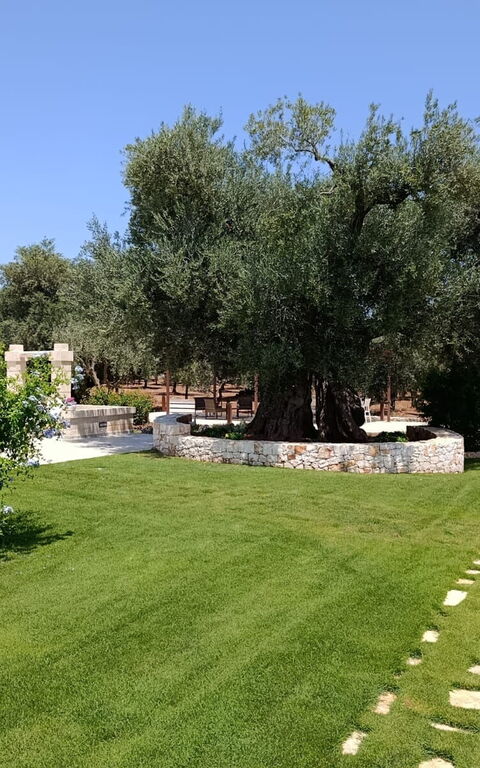 Terra Mater: Eksteriør, Hage, Utendørs