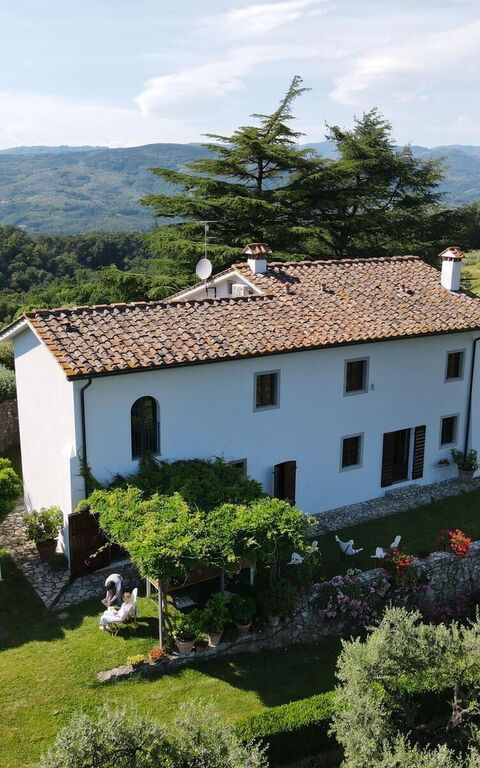 Villa Mami: Eksteriør, Hage, Utendørs, Visningar