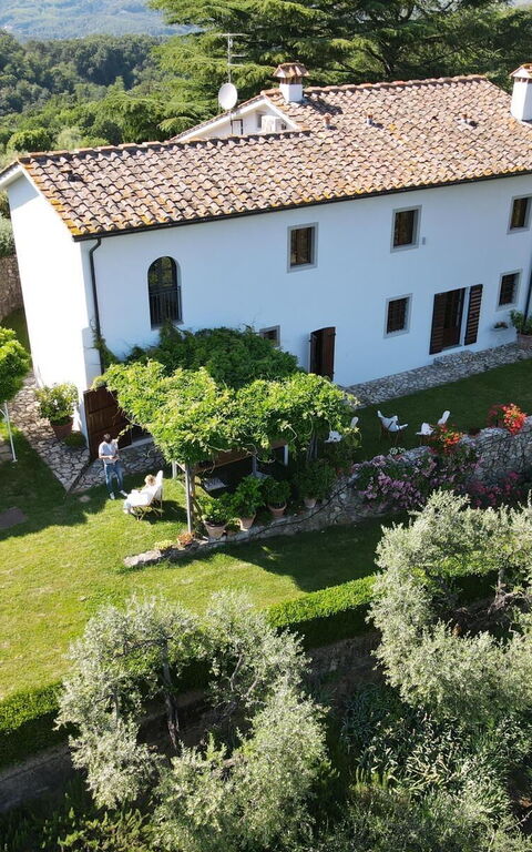 Villa Mami: Eksteriør, Hage, Utendørs, Visningar