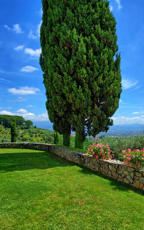 Villa Mami: Eksteriør, Hage, Utendørs, Visningar