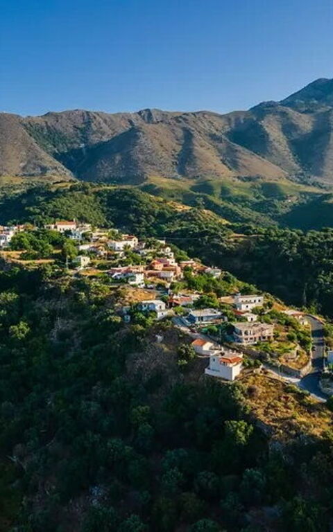 Villa Katrina: Visningar