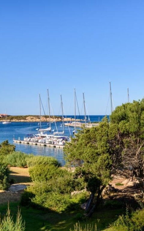 Lentischio: Visningar