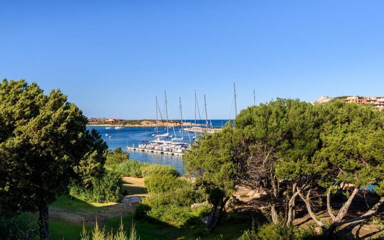 Lentischio: Visningar