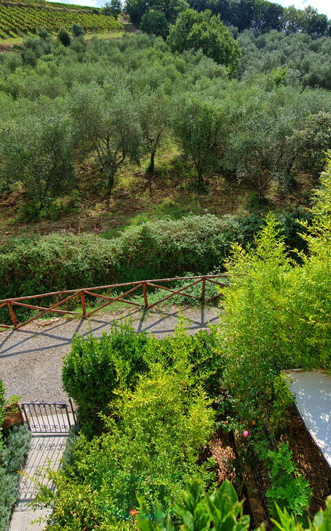 Casa Minuccia: Eksteriør, Utendørs