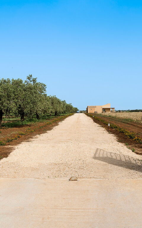 Villa Cavalè: Eksteriør, Hovedinngang, Utendørs