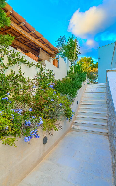 Villa Pine Haven: Eksteriør, Utendørs