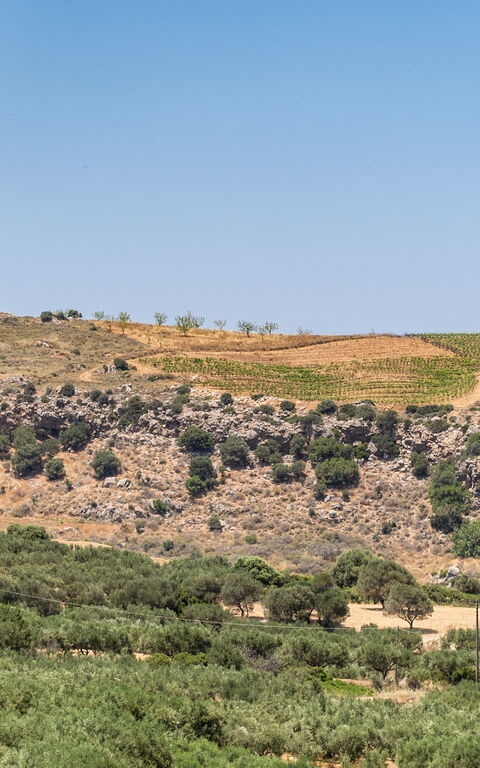 Villa Aetheria: Visningar