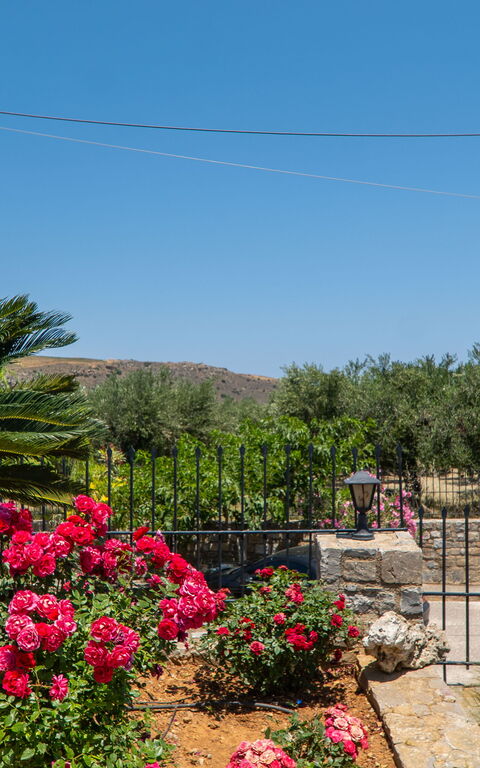 Villa Aetheria: Eksteriør, Utendørs