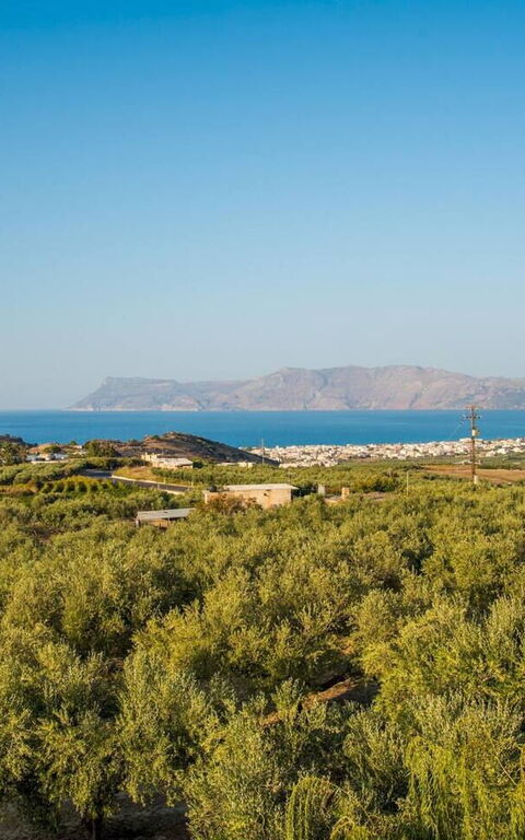 Villa Aetheria: Visningar