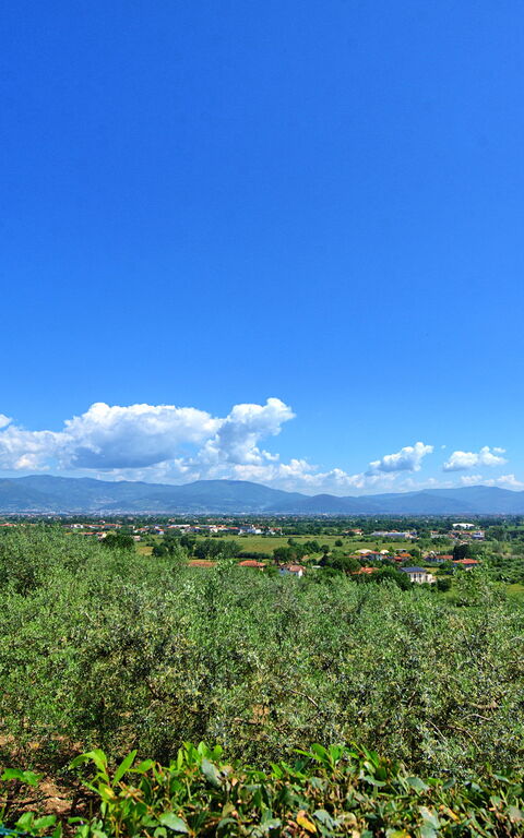 Villa Marusca: Eksteriør, Utendørs