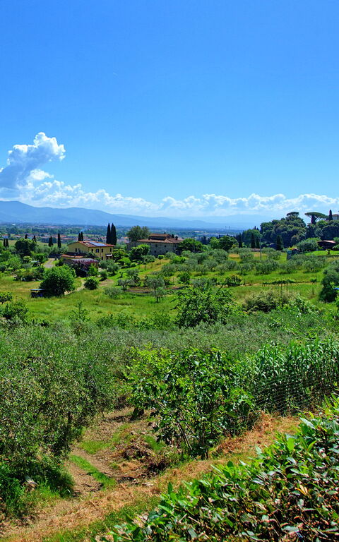 Villa Marusca: Eksteriør, Utendørs, Visningar
