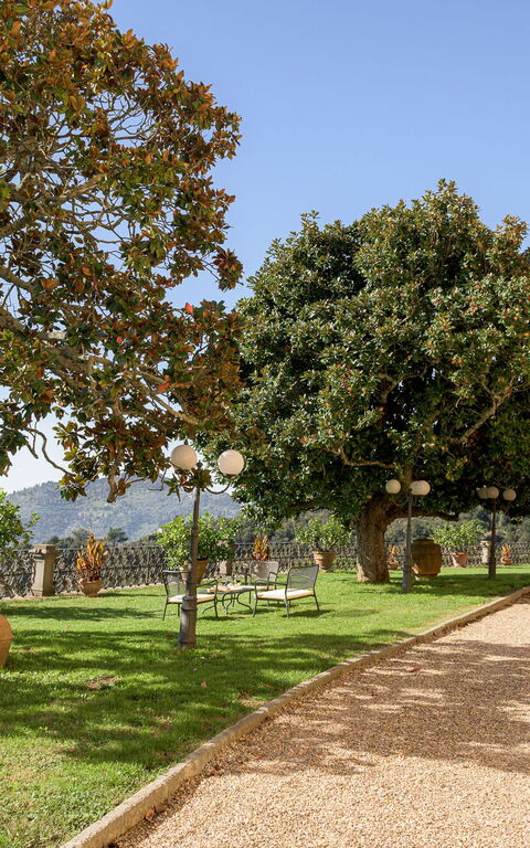 Villa Laparelli Pitti: Eksteriør, Hage, Utendørs