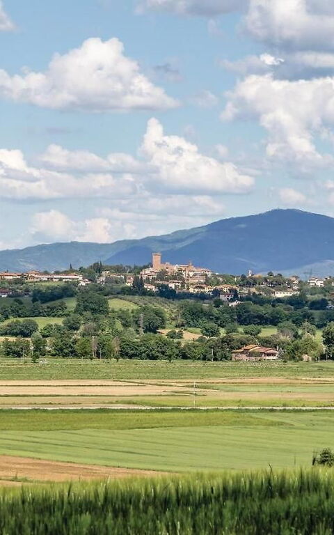 Villa Il Pozzo: Visningar