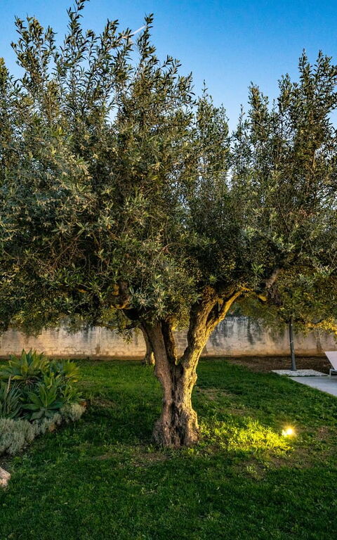 Villa Virginia: Eksteriør, Hage, Utendørs