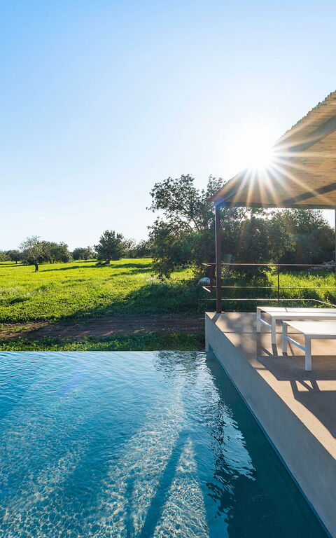 Villa Ninetta: basseng, Eksteriør, Utendørs, Visningar