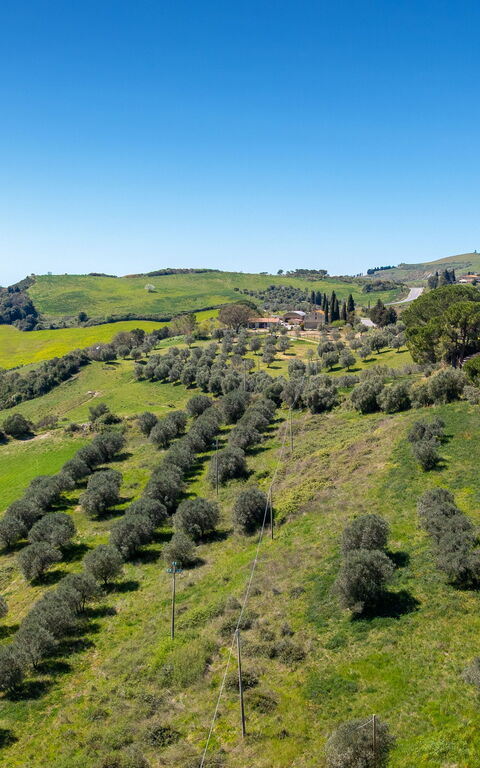 Borgo Ariano: Visningar