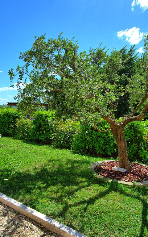 Borgo Ariano: Utendørs