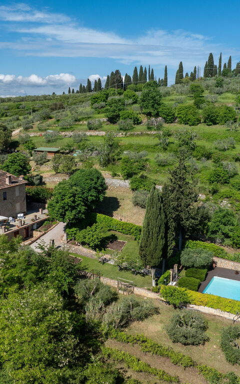 Tenuta Macericca: Visningar