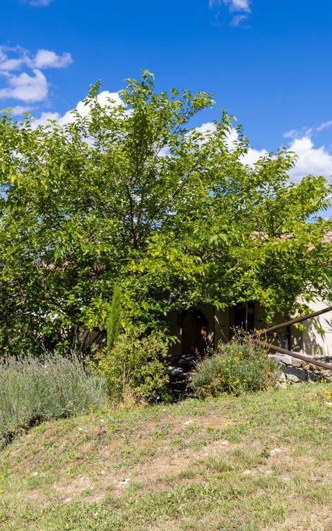 Villanova Lonciano - 2026: Eksteriør, Hage, Utendørs