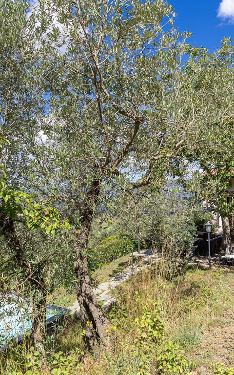 Villanova Lonciano - 2026: Eksteriør, Hage, Utendørs