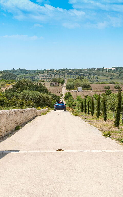 Netina Domus: Hovedinngang, Utendørs