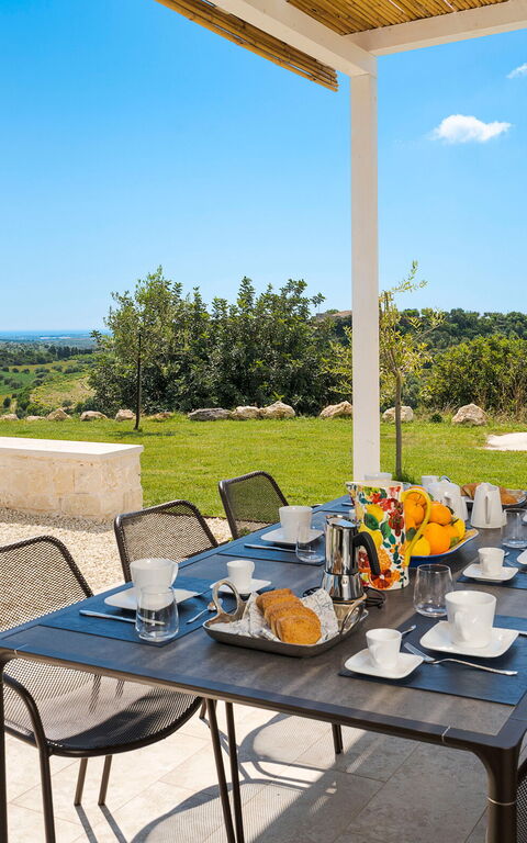 Netina Domus: Utendørs, Visningar