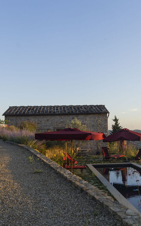 Villa Tenuta Casenuove: basseng, Eksteriør, Hage, Utendørs, Visningar