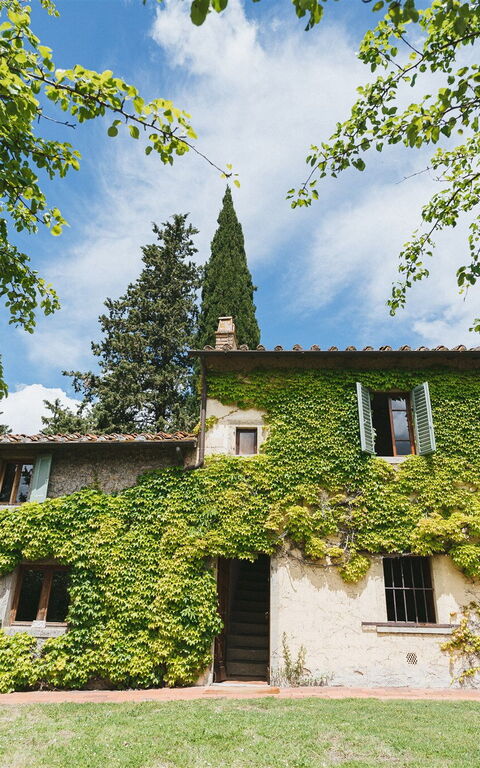 Podere Lupinati: Eksteriør, Utendørs