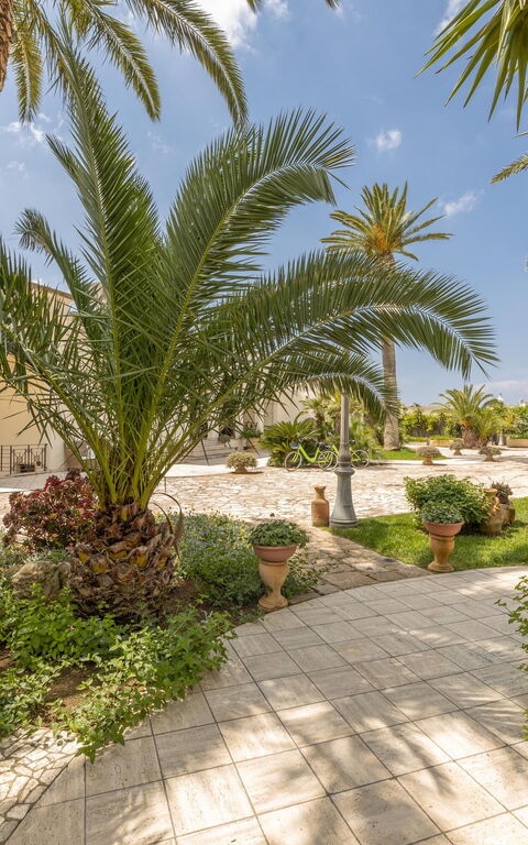 Villa Oasi Di Pace: Eksteriør, Utendørs