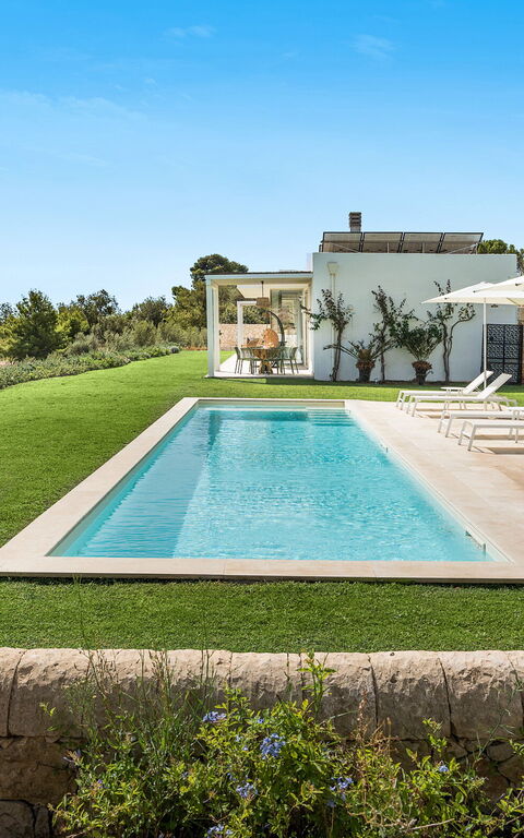 Villa Petite Afrique: basseng, Eksteriør, Hage, Utendørs