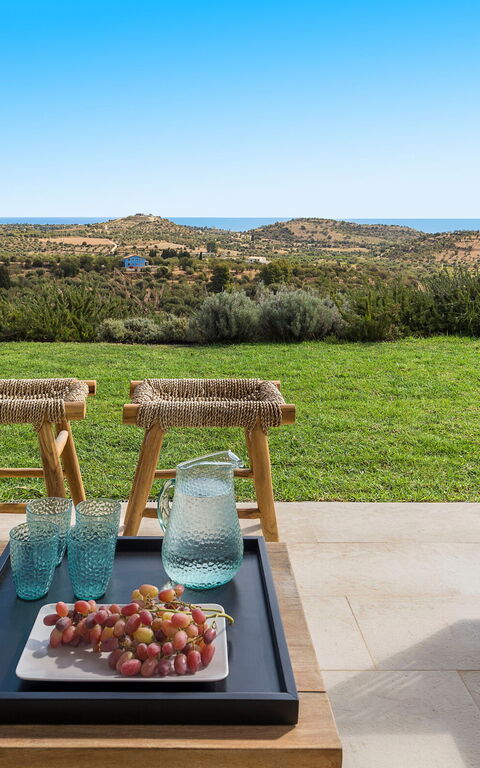 Villa Petite Afrique: Eksteriør, Hage, Utendørs