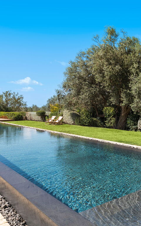 Domus Olivae: basseng, Eksteriør, Hage, Utendørs