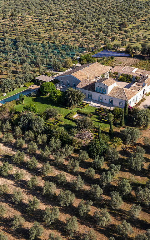 Domus Olivae: Visningar