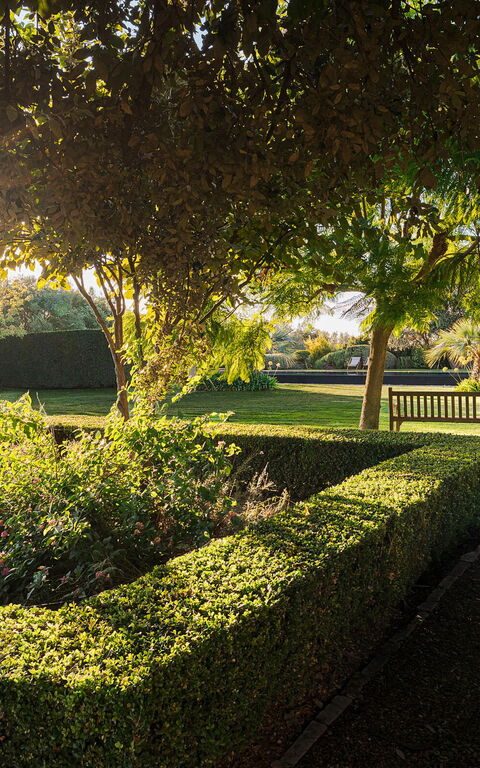 Domus Olivae: Eksteriør, Hage, Utendørs