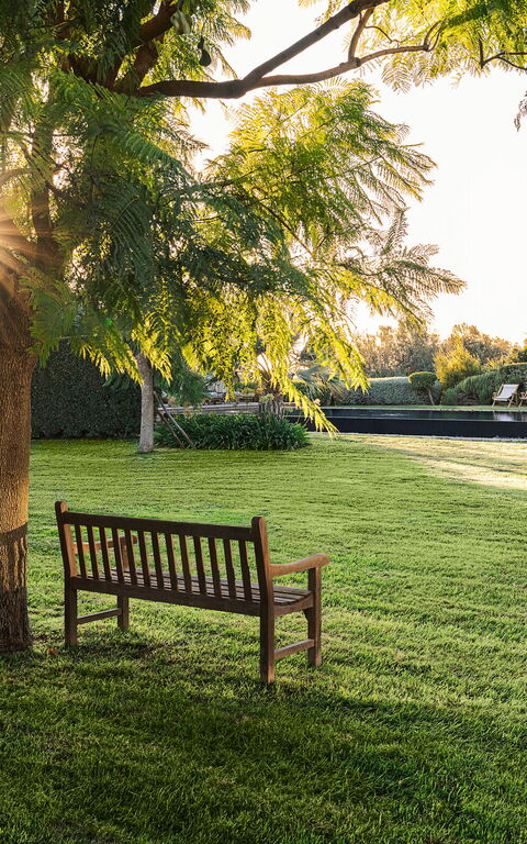Domus Olivae: Eksteriør, Hage, Utendørs